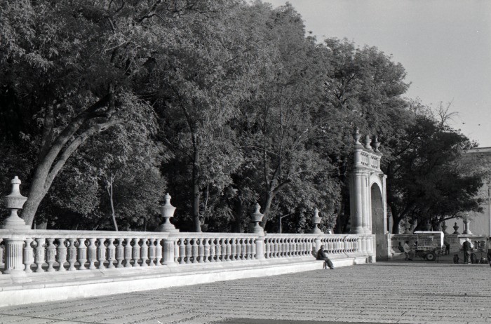 Jardín de san Marcos