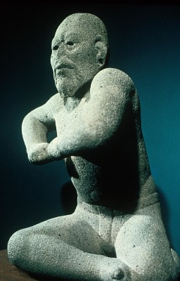 El luchador