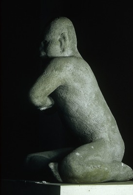 El luchador