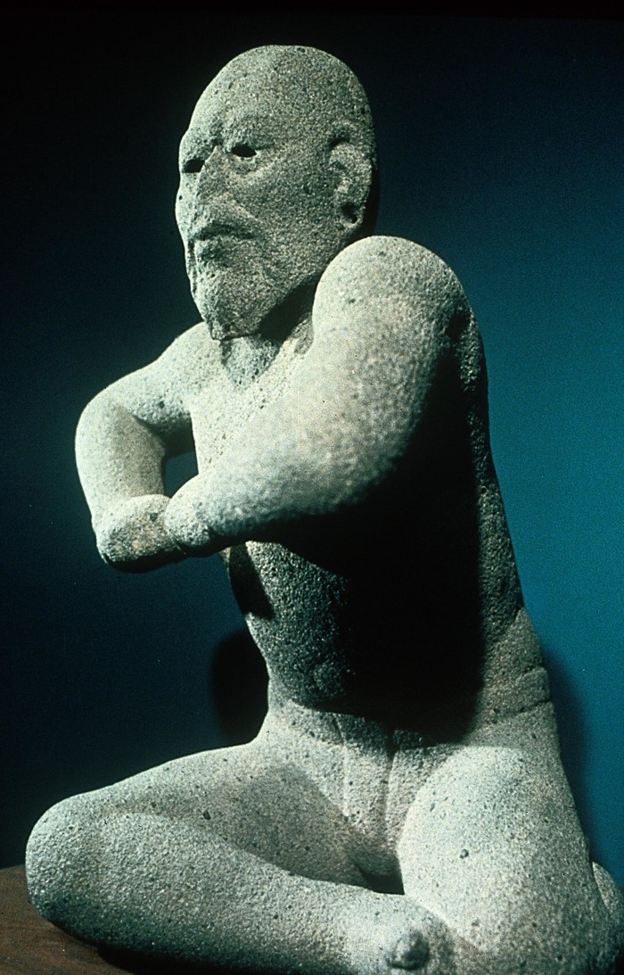El luchador