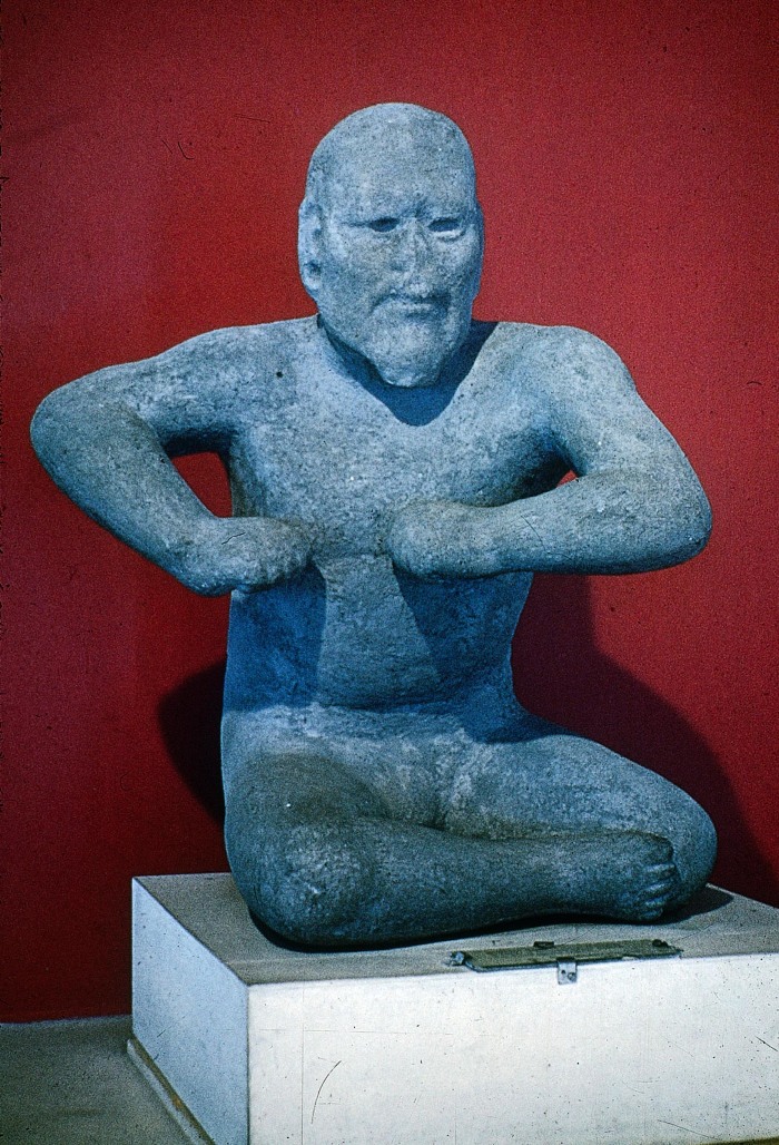 El luchador