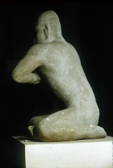 El luchador