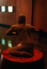 El luchador