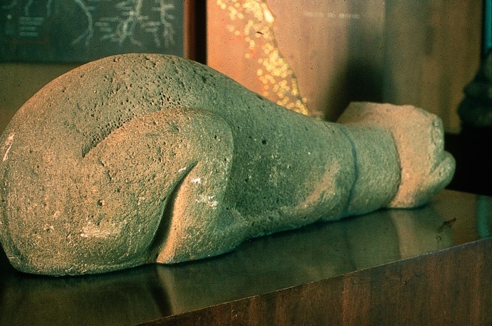 MONUMENTO 7, ANIMAL ACEFALO
