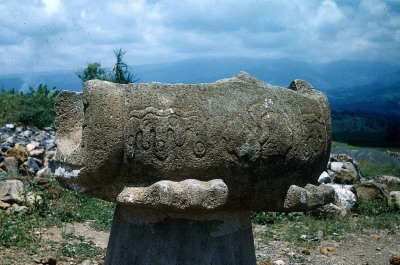 MONUMENTO 9, AVE ACUATICA