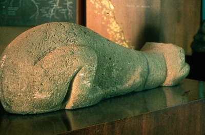 MONUMENTO 7, ANIMAL ACEFALO