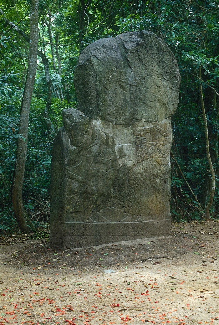 ESTELA 3
