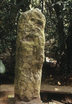 ESTELA 63