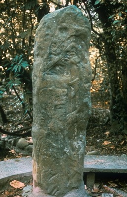 ESTELA 63