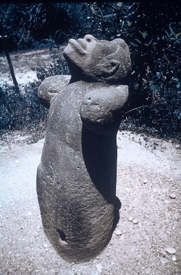 MONUMENTO 56, MONO
