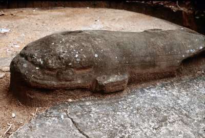 MONUMENTO 20, CETACEO
