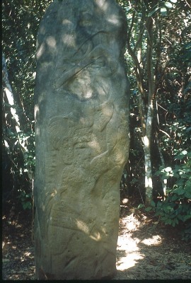 ESTELA 63