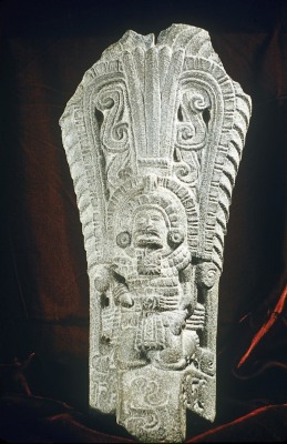 PALMA CON FIGURA ANTROPOMORFA