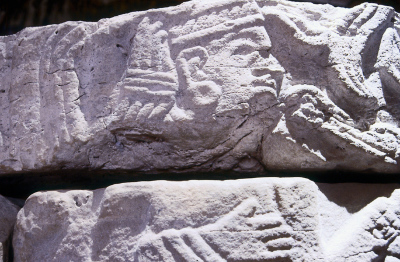 COLUMNA