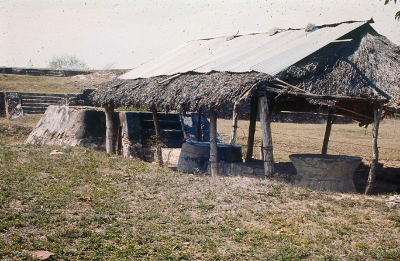 TAMUIN