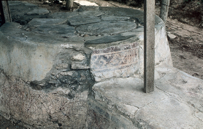 TAMUIN