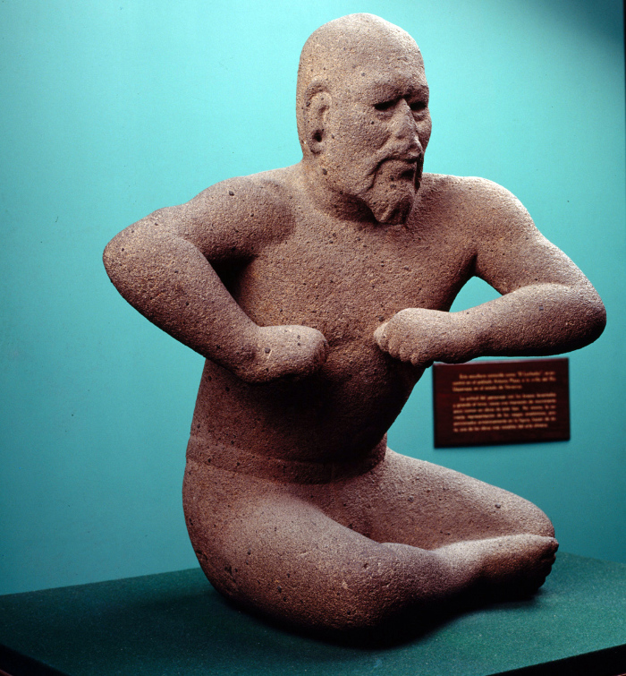 El luchador