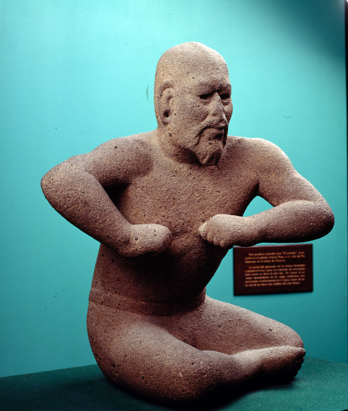 El luchador