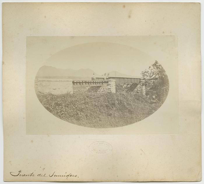 Puente del Sumidero