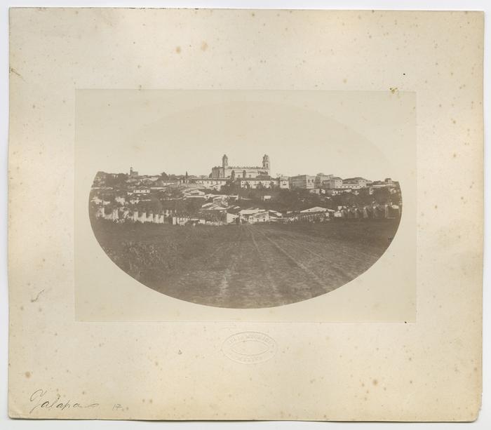 Jalapa