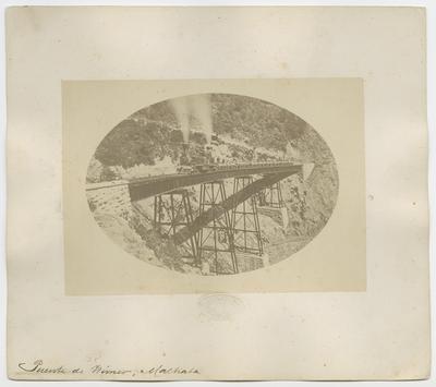 Puente de Wimer, Maltrata.