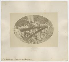 Puente de Wimer, Maltrata.