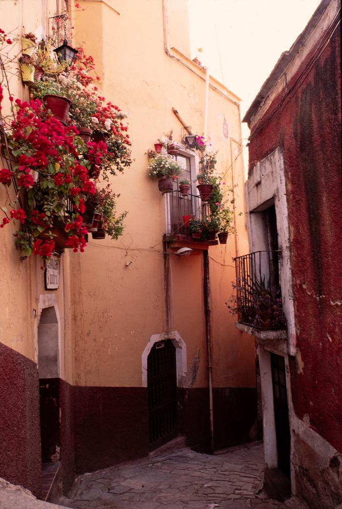 Casa Habitación