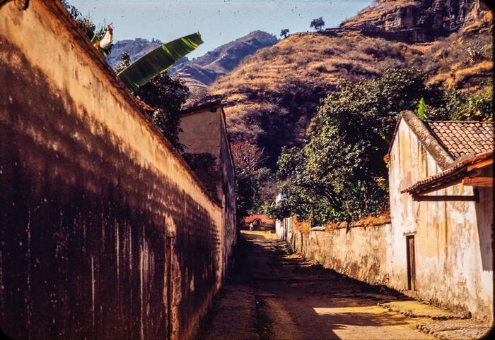 CALLE