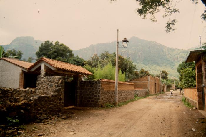 CALLE