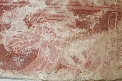 Coyote con tocado de plumas