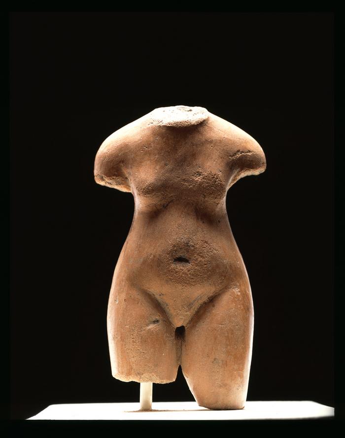 Torso femenino