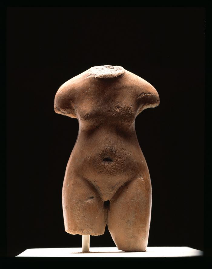 Torso femenino