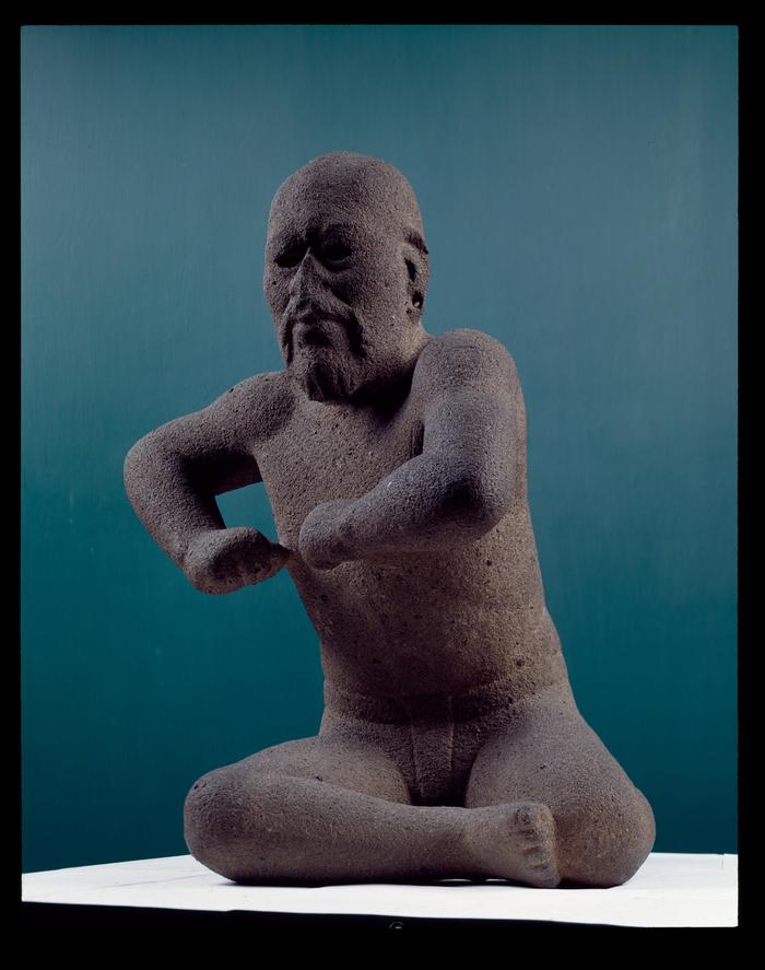 El luchador