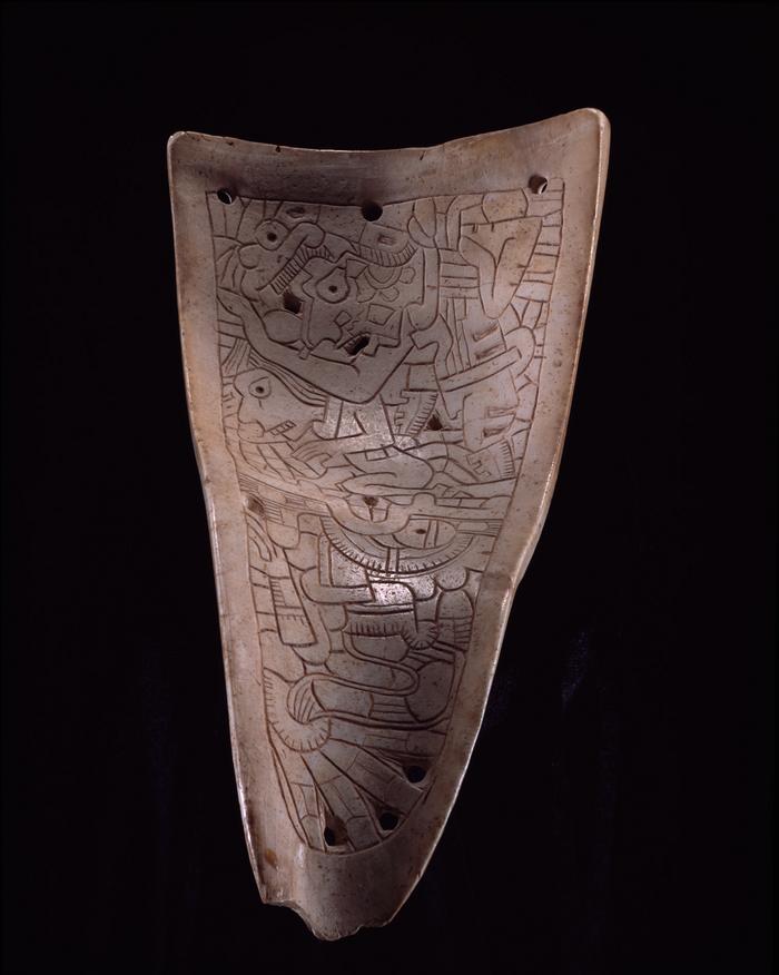 Pectoral