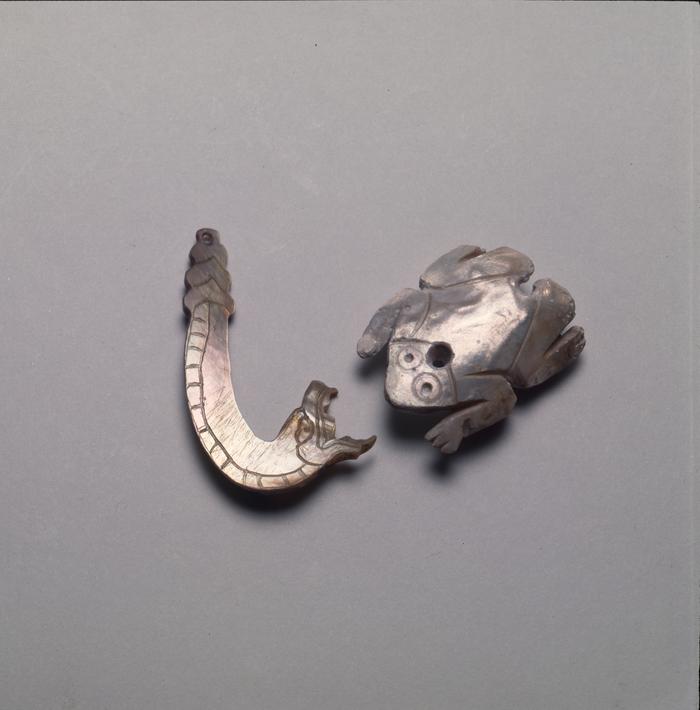 Serpiente y rana