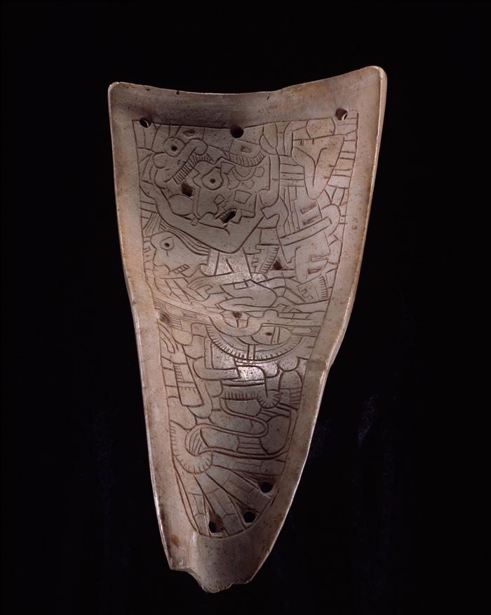 Pectoral