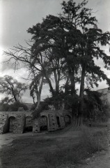 Hacienda de San Blas de Pabellón de Hidalgo. Acueducto