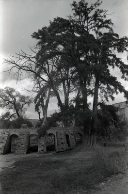 Hacienda de San Blas de Pabellón de Hidalgo. Acueducto