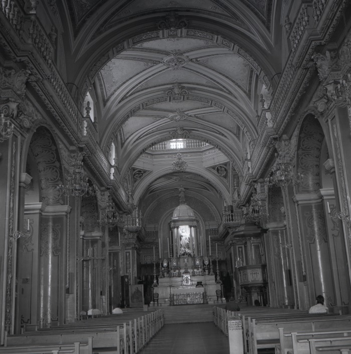 Catedral de Aguascalientes. Interior 